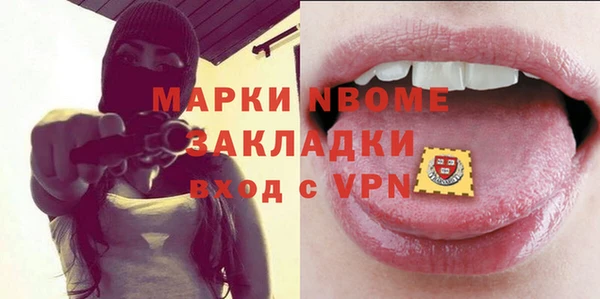 прущие грибы Горняк