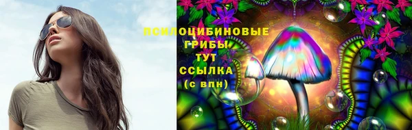 стаф Горнозаводск