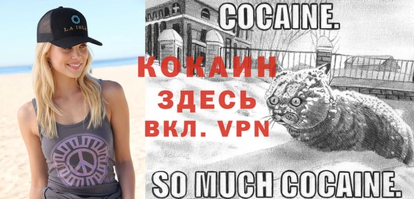 прущие грибы Горняк