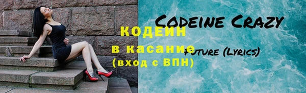 прущие грибы Горняк