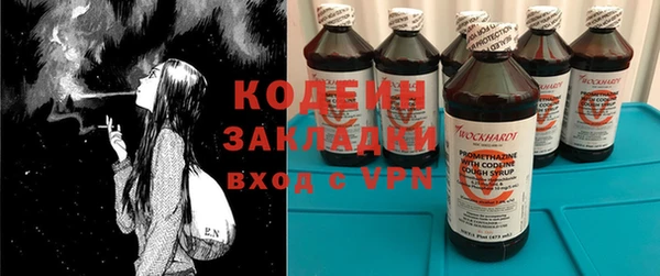 прущие грибы Горняк