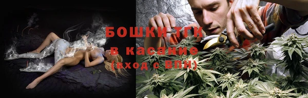 стаф Горнозаводск